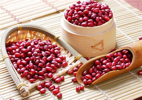 紅豆象徵意義 风水植物种类